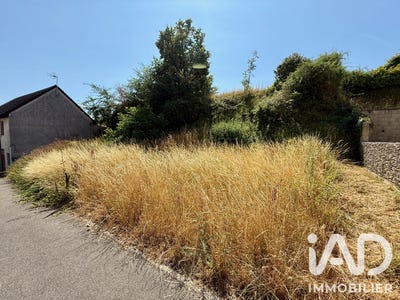 /international/fr/saint-denis-lanneray-centre-val-de-loire-310109234672/