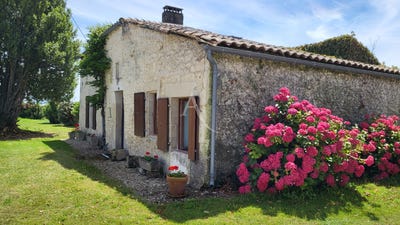 /international/fr/mortagne-sur-gironde-charente-310104470268/