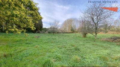 /international/fr/pluguffan-brittany-310105813425/