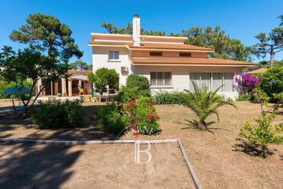 /international/fr/bastia-corsica-310109240005/?lang=fr