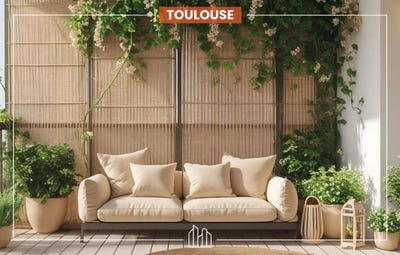 /international/fr/toulouse-midi-pyrenees-310100486884/