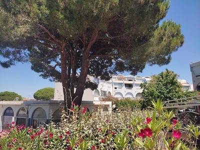 /international/fr/le-grau-du-roi-languedoc-roussillon-310101034533/?lang=fr