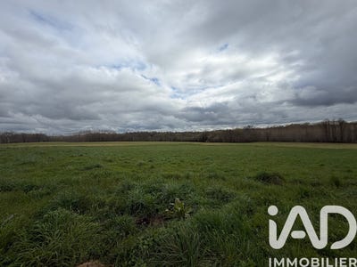 /international/fr/nogaro-midi-pyrenees-310106573748/