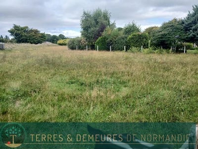 /international/fr/beuzeville-upper-normandy-310101486055/