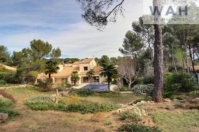 /international/fr/saint-clement-de-riviere-languedoc-roussillon-310105912383/