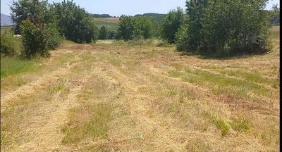/international/fr/augnax-midi-pyrenees-310106335180/