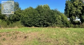 /international/fr/pont-l-eveque-la-basse-normandie-310100992561/?lang=zh-cn
