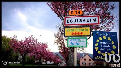 /international/fr/eguisheim-alsace-310096786850/?lang=zh-cn