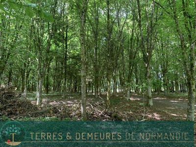 /international/fr/vire-la-basse-normandie-310100224747/?lang=zh-cn