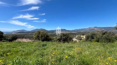 /international/fr/bastelicaccia-corsica-310098903347/
