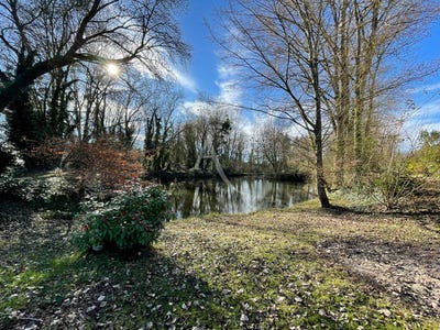 /international/fr/le-controis-en-sologne-centre-val-de-loire-310106411129/