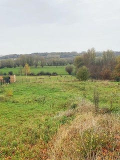 /international/fr/mametz-calais-310103665505/