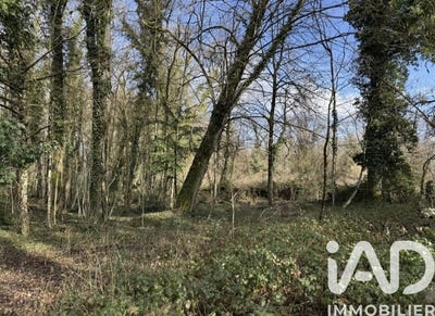 /international/fr/saint-phal-ardennes-310105715570/