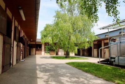 /international/fr/les-eglises-d-argenteuil-charente-310108566221/?lang=th