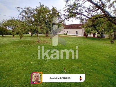 /international/fr/saint-loup-burgundy-310098892400/