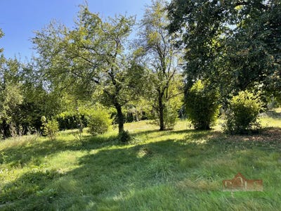 /international/fr/vienne-rhone-120087655459/