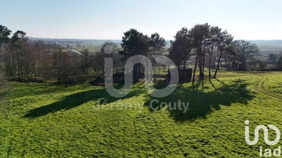 /international/fr/savenay-pays-de-la-loire-310098121642/
