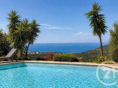 /international/fr/monticello-corsica-310110158750/