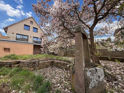 /international/fr/niedermorschwihr-alsace-310106854713/