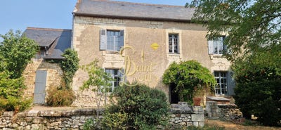 /international/fr/sazilly-centre-val-de-loire-310105812295/