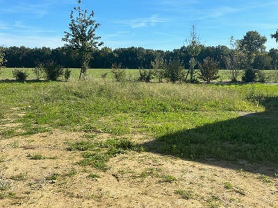 /international/fr/saint-mars-du-desert-pays-de-la-loire-310104464597/