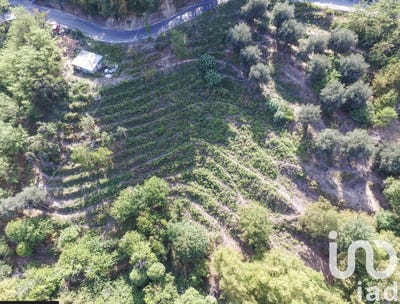 /international/fr/sainte-agnes-provence-alpes-cote-d-azur-310100539100/