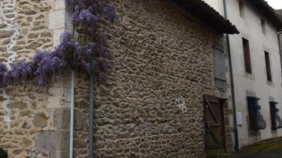 /international/fr/pressignac-charente-310099617438/