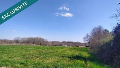 /international/fr/caillac-midi-pyrenees-310108926804/