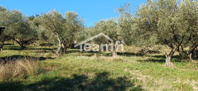 /international/fr/vagnas-rhone-310107565923/