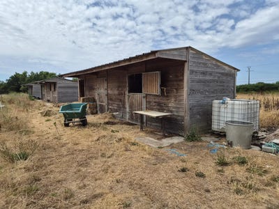 /international/fr/louvigne-pays-de-la-loire-310109179434/