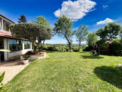 /international/fr/auch-midi-pyrenees-310108677526/