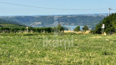 /international/fr/vion-pays-de-la-loire-310095291584/