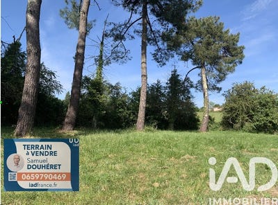 /international/fr/saint-palais-sur-mer-charente-310107671898/