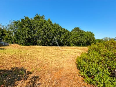 /international/fr/challans-pays-de-la-loire-310109532707/