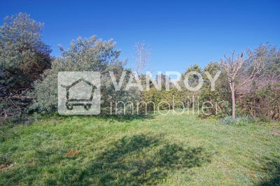 /international/fr/gujan-mestras-aquitaine-310105912173/