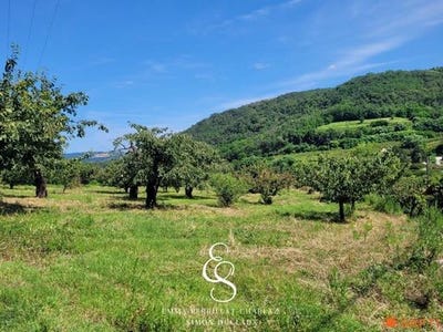 /international/fr/saint-desirat-rhone-120092941530/