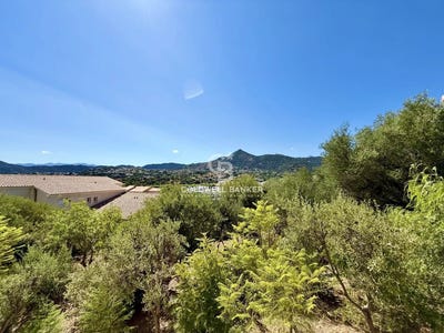 /international/fr/l-ile-rousse-corsica-310106944049/