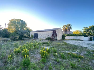 /international/fr/boissieres-languedoc-roussillon-310107906360/