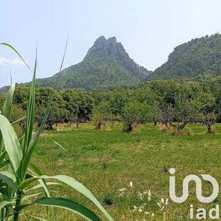 /international/fr/buis-les-baronnies-rhone-310100490249/