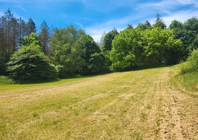 /international/fr/ligueux-aquitaine-310109647975/