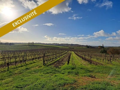 /international/fr/saint-macaire-aquitaine-310104116464/