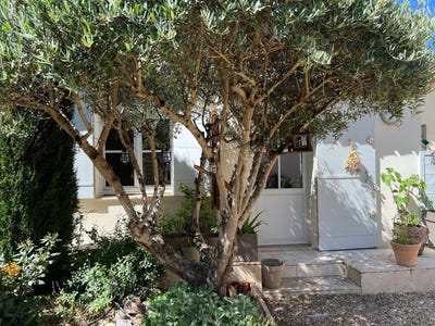 /international/fr/villeneuve-les-avignon-languedoc-roussillon-120092760893/