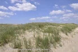 /international/fr/la-turballe-pays-de-la-loire-120078360699/