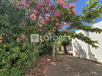/international/fr/le-barcares-languedoc-roussillon-310108763479/
