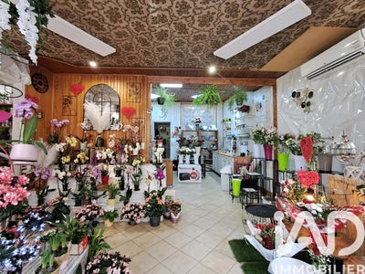 /international/fr/brienon-sur-armancon-burgundy-310105988366/