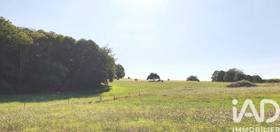 /international/fr/palazinges-limousin-310107739581/