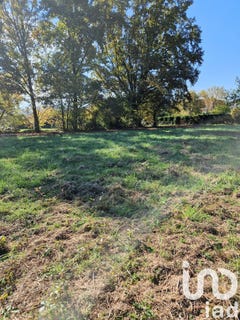 /international/fr/terrasson-lavilledieu-aquitaine-310105104169/