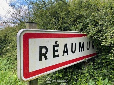 /international/fr/reaumur-pays-de-la-loire-120092952252/