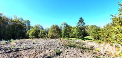 /international/fr/albussac-limousin-310107740566/