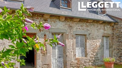 /international/fr/gros-chastang-limousin-310106793884/